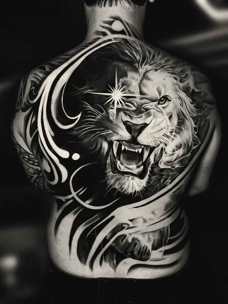 Aslan — Kapatma — Kapatma